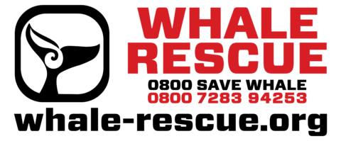 WHALE-RESCUE-with-numbers