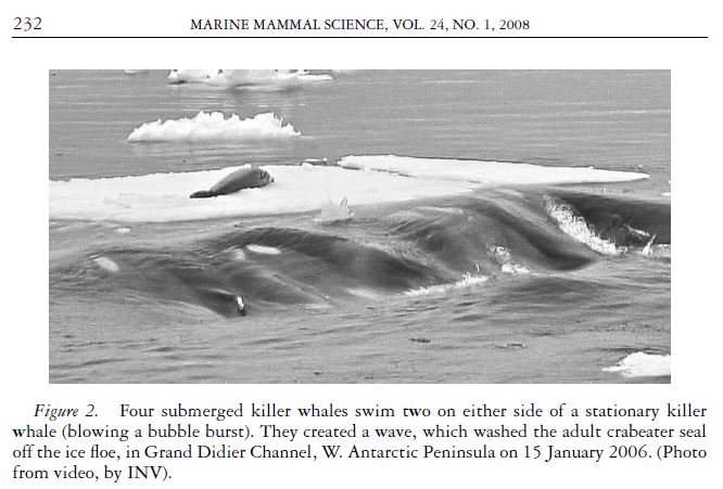 Figure 2 from the scientific paper published by Dr Visser & colleagues, about orca using waves to wash seals off ice floes