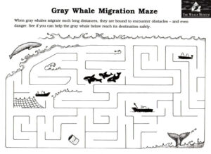 Help the Gray whales past the orca