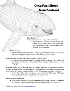 Orca Fact Sheet