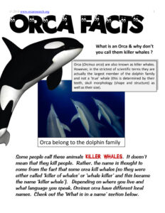 ORCA FACTS I